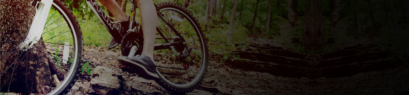 Bicicletas
